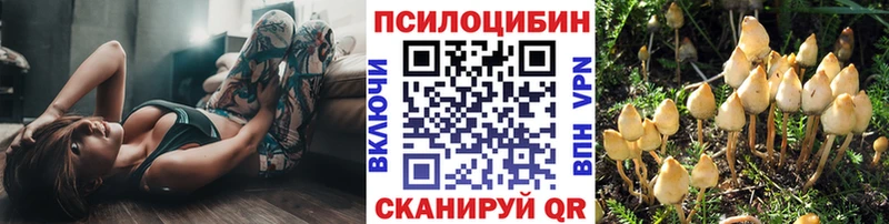 маркетплейс какой сайт  где купить наркоту  Советская Гавань  Псилоцибиновые грибы мухоморы 
